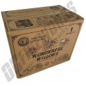 Wholesale Fireworks Wonderful Willows Ball Shells Case 12/6